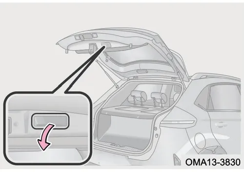 دستگیره کمکی بستن درب پشت